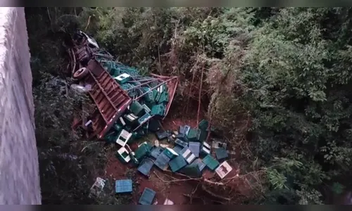 Caminhão de frango cai de ponte e motorista fica ferido no PR