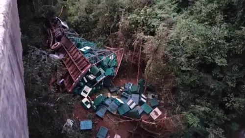 Caminhão de frango cai de ponte e motorista fica ferido no PR