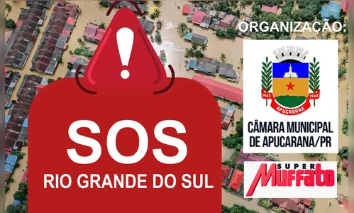 Câmara de Apucarana inicia campanha em prol do RS; veja como ajudar