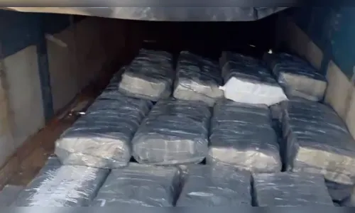 Paraguaio é preso com 2,5 toneladas de maconha no PR; assista