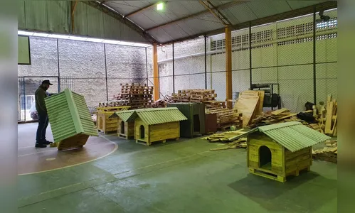 Casinhas feitas em penitenciária do PR vão abrigar animais no RS