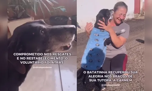 Cão que 'só chorava' reencontra a dona e causa comoção no RS; vídeo