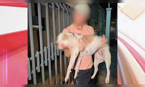 Homem e cachorro são baleados durante ataque a tiros em Maringá