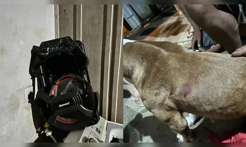 Briga entre vizinhos por causa de som alto acaba com cachorro baleado