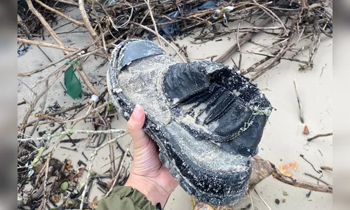 Mutirão voluntário recolhe duas toneladas de resíduos sólidos no PR