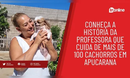 Conheça a história da professora que cuida de mais de 100 cachorros