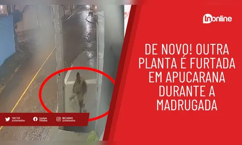 De novo! Outra planta é furtada em Apucarana durante a madrugada
