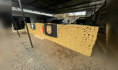 Denarc realiza operação e apreende 1,7 tonelada de maconha