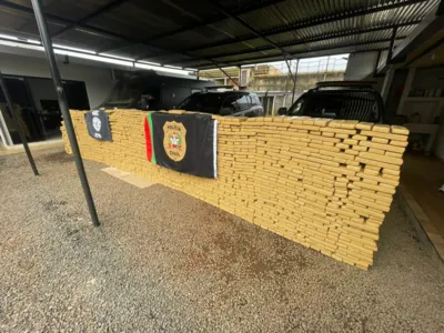 Denarc realiza operação e apreende 1,7 tonelada de maconha