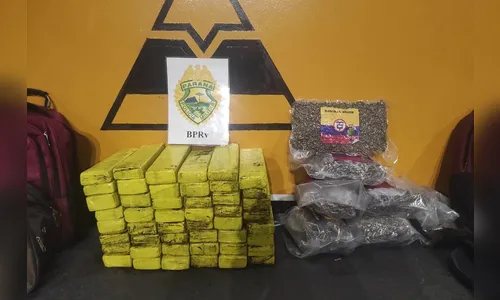 Cães da PRE encontram quase 41 quilos de maconha em Rolândia