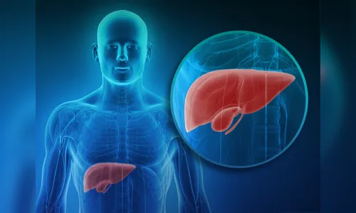 Veja 5 sinais que podem indicar que seu fígado não está bem