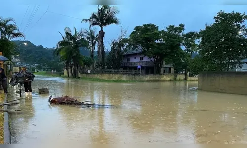Enchentes agora atingem SC; mais de 800 pessoas já estão desabrigadas