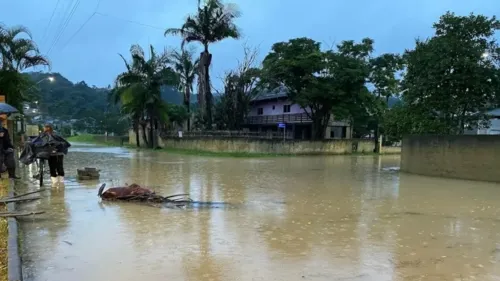 Enchentes agora atingem SC; mais de 800 estão desabrigados