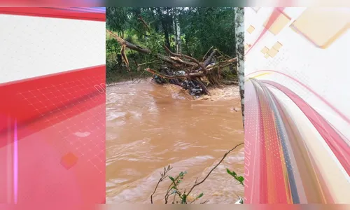 Duas pessoas morrem após serem arrastadas pela enxurrada no Paraná