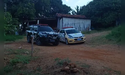 Homem de 40 anos é encontrado morto em sítio de Apucarana