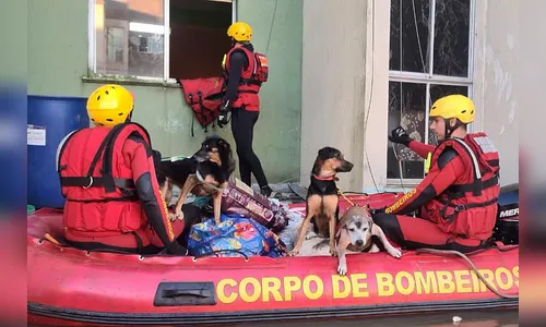 Com 104 agentes, forças de segurança do PR seguem apoiando o RS