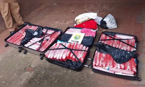 Adolescentes são flagradas com 65 kg de maconha em rodoviária no PR