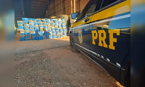 PRF apreende 3,5 t de maconha escondida em carga de soja no PR; veja