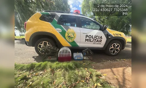 Polícia Ambiental resgata pássaros silvestres em Jardim Alegre