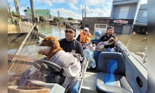 Mutirão do IAT completa dez dias de trabalho no RS