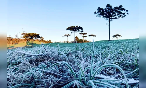Cidades registram geada e temperaturas abaixo de zero no Paraná