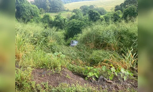 Homem fica ferido após Jeep Renegade cair em ribanceira na BR-163