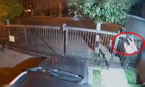 Invasora acaba pendurada e seminua em portão de casa durante furto