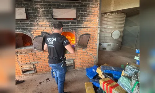 Polícia Civil incinera 1,5 tonelada de maconha em Manoel Ribas