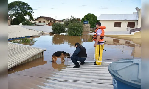 Apucarana terá corrida solidária para arrecadar donativos para o RS