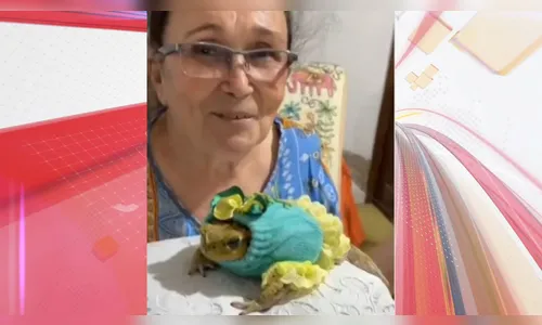 Idosa adota sapa como animal de estimação e batiza de 