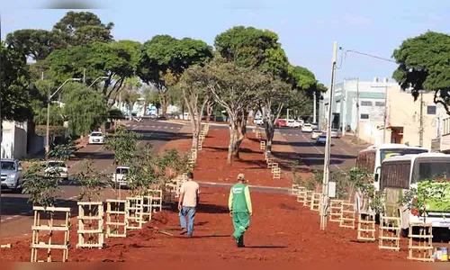 Ivaiporã implanta novo projeto de arborização no centro da cidade