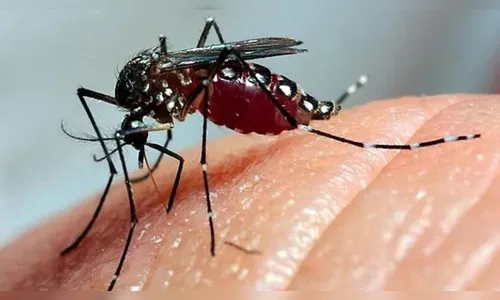 Sesa confirma primeira morte por dengue em Kaloré