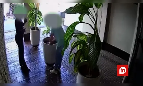 Após repercussão, mulher devolve planta a condomínio em Apucarana