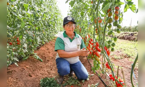 Integrantes do “Hortas Solidárias” participam da Tarde de Campo