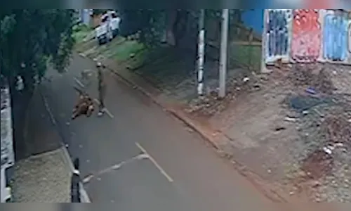 Vídeo mostra cavalo sofrendo infarto e morrendo no meio da rua no PR