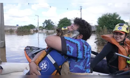 Voluntário se emociona ao encontrar o próprio cão ilhado
