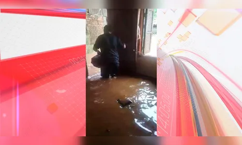 Homem enfrenta ondas da cheia do Guaíba para resgatar animais