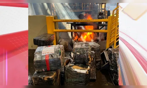 PF incinera mais de 2,5 toneladas de maconha em Maringá