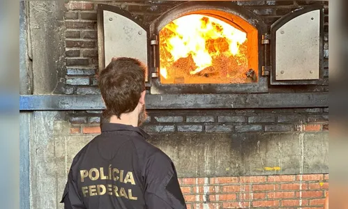 PF incinera mais de duas toneladas de drogas apreendidas no Paraná