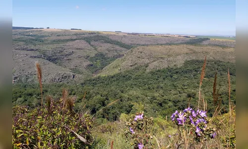 PR tem 55 mil hectares em Reservas Particulares de Patrimônio Natural