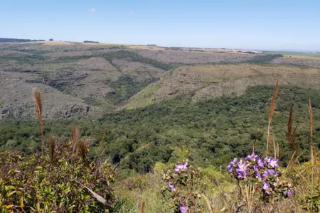 PR tem 55 mil hectares em Reservas Particulares de Patrimônio Natural