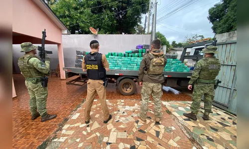 Paraná foi o estado que mais apreendeu maconha no primeiro trimestre