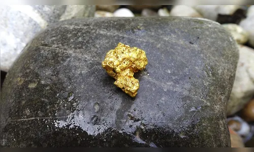 Pedidos de extração de ouro em 4 municípios do PR geram movimentação