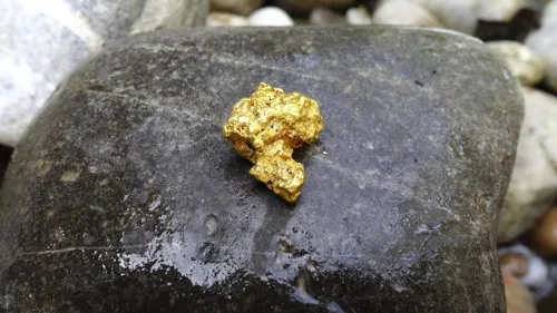 Pedidos de extração de ouro em 4 municípios do PR geram movimentação