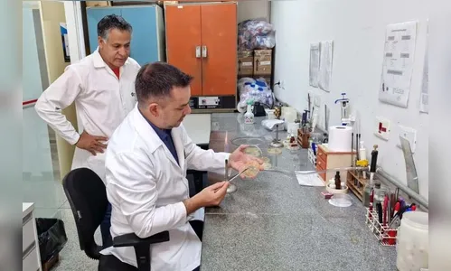 Laboratório da UEL vai estudar bactérias super-resistentes