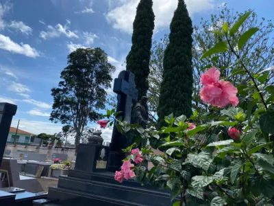 Informações: Serviço Funerário Municipal de Curitiba