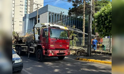 Corte de árvore fecha trecho da Rua Miguel Simião em Apucarana