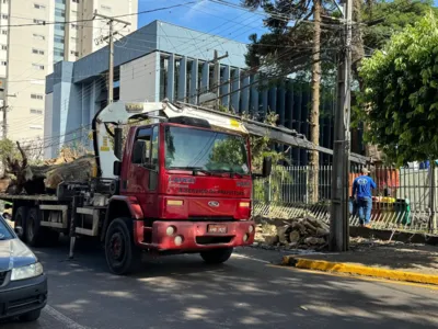 Serviço é realizado pela Prefeitura