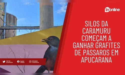 Silos da Caramuru começam a ganhar grafites de pássaros em Apucarana