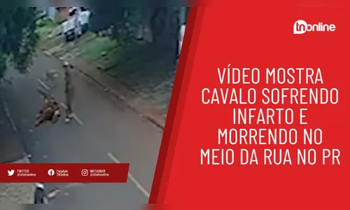 Vídeo mostra cavalo sofrendo infarto e caindo no meio da rua no PR